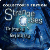 Jocul Strange Cases: The Secrets of Grey Mist Lake Collector's Edition